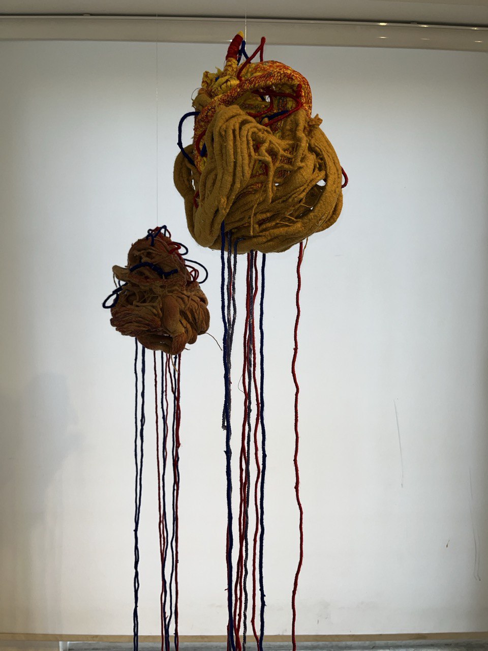 img 20251201 074025 531